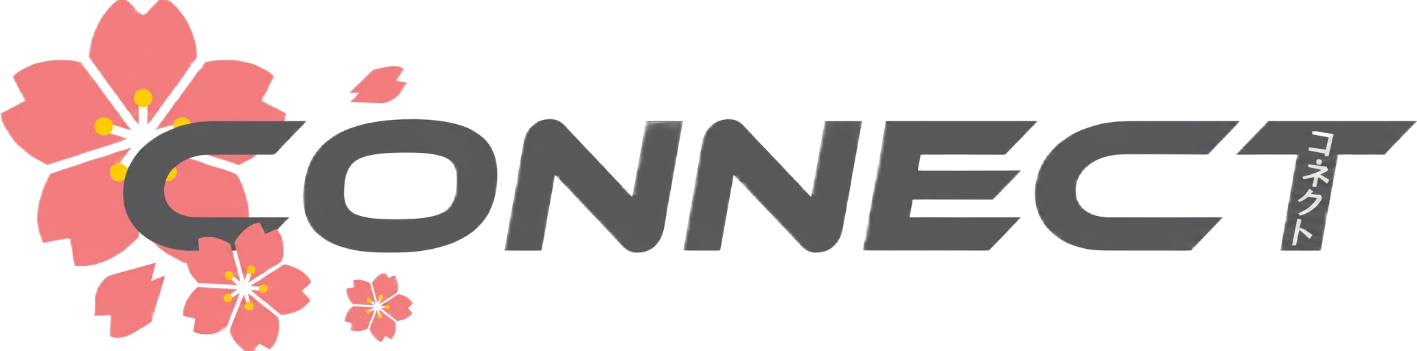 Connect Group